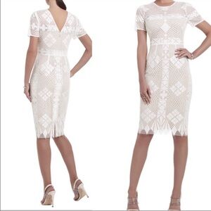 Bcbg Maxazira Samara Elegant Cream Lace Dress